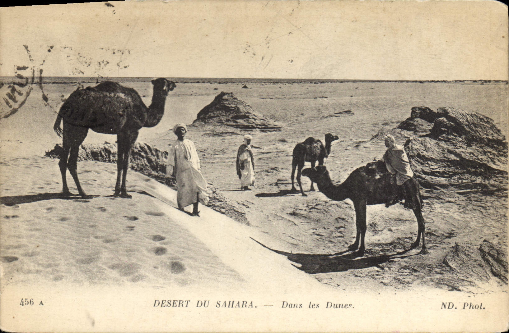 CPA Desert du Sahara Dans les Dunes 