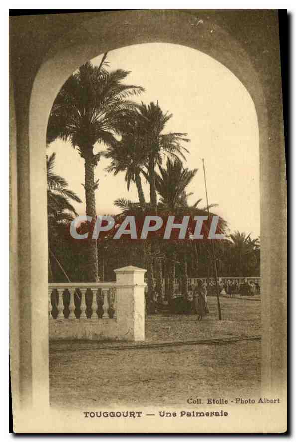 Touggourt — Une Palmeraie — Coll. Etolie - Photo Albert