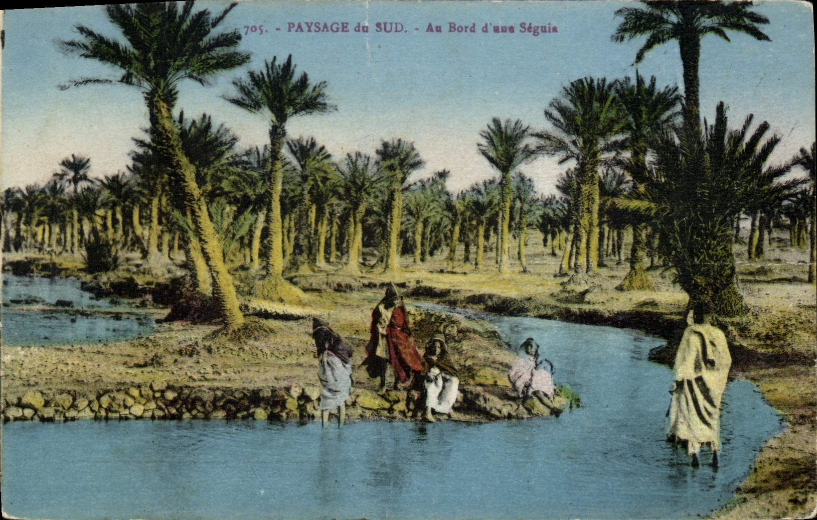 CPA Paysage du Sud Au Bord d'une Seguia 