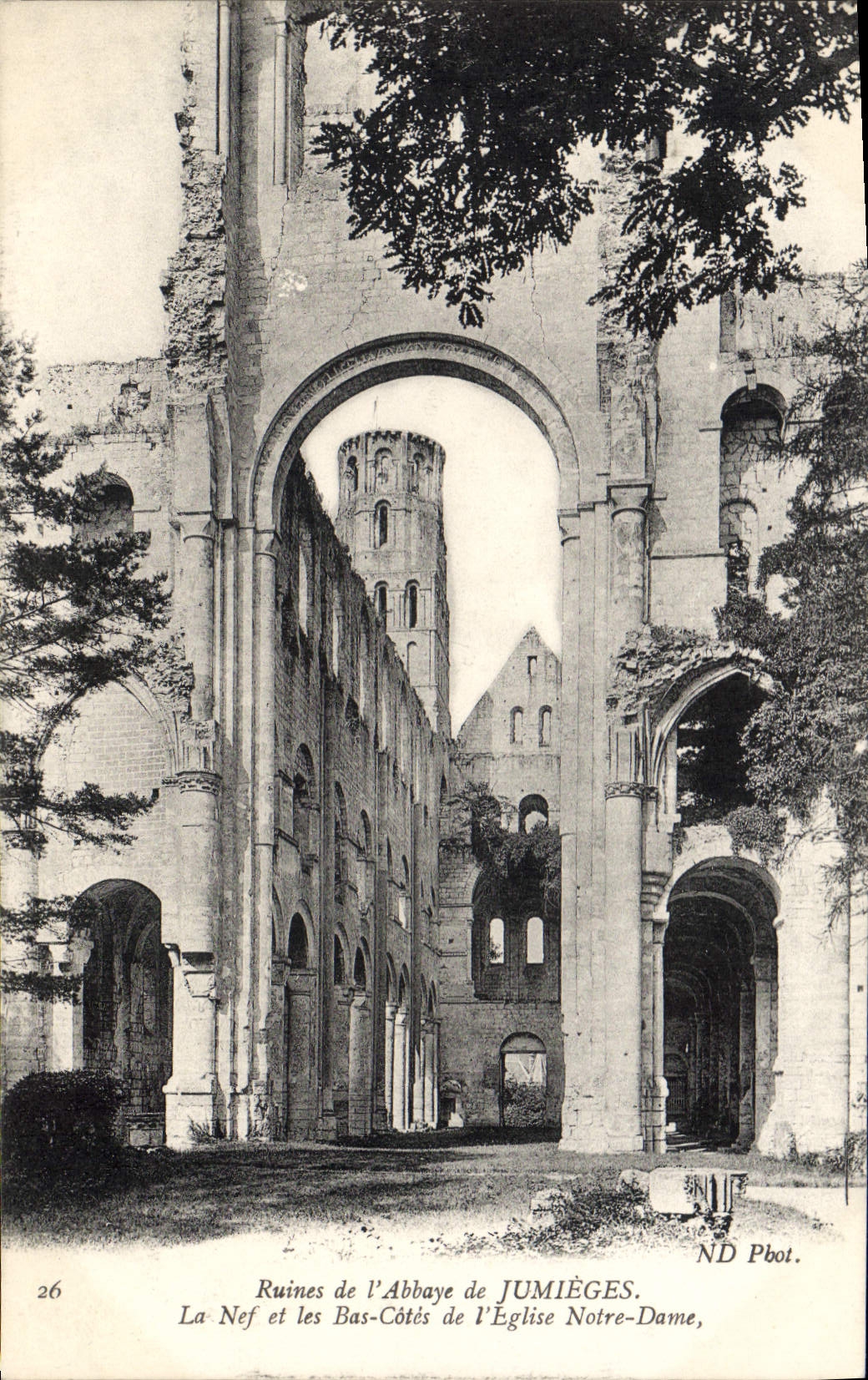 CPA Ruines de l'Abbaye de Jumieges La Nef et les Bas Cotes de l'Eglise Notre Dame 