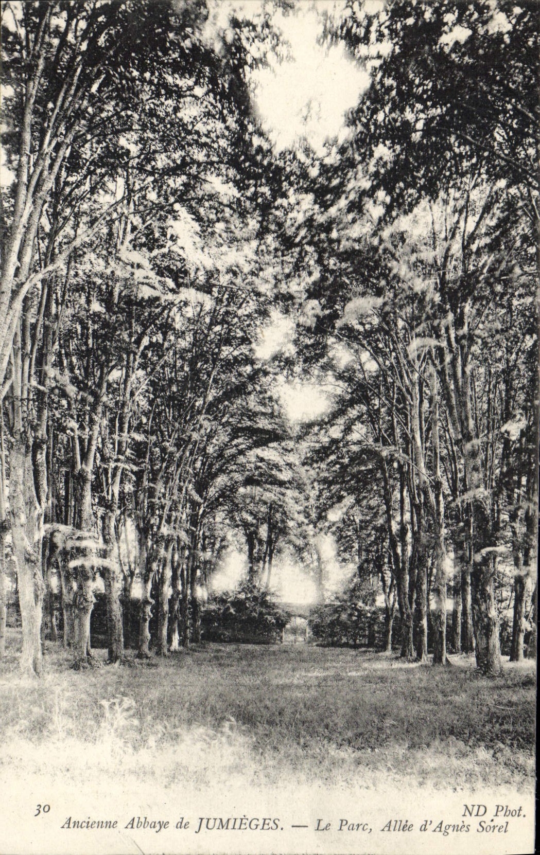 CPA Ancienne Abbaye de Jumieges le Parc Allee d'Agues Sorel 
