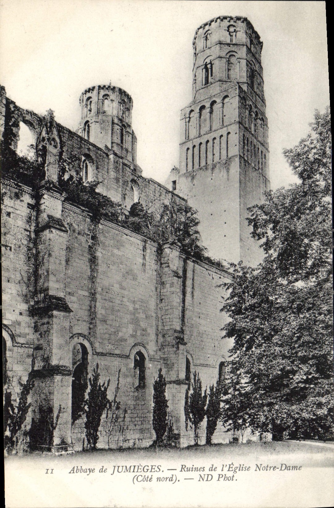 CPA Abbaye de Jumieges Ruines de l'Eglise Notre Dame Cote Nord 