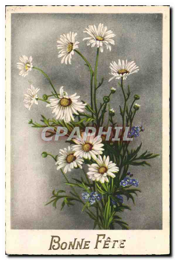 CPA Bonne Fete Fleurs