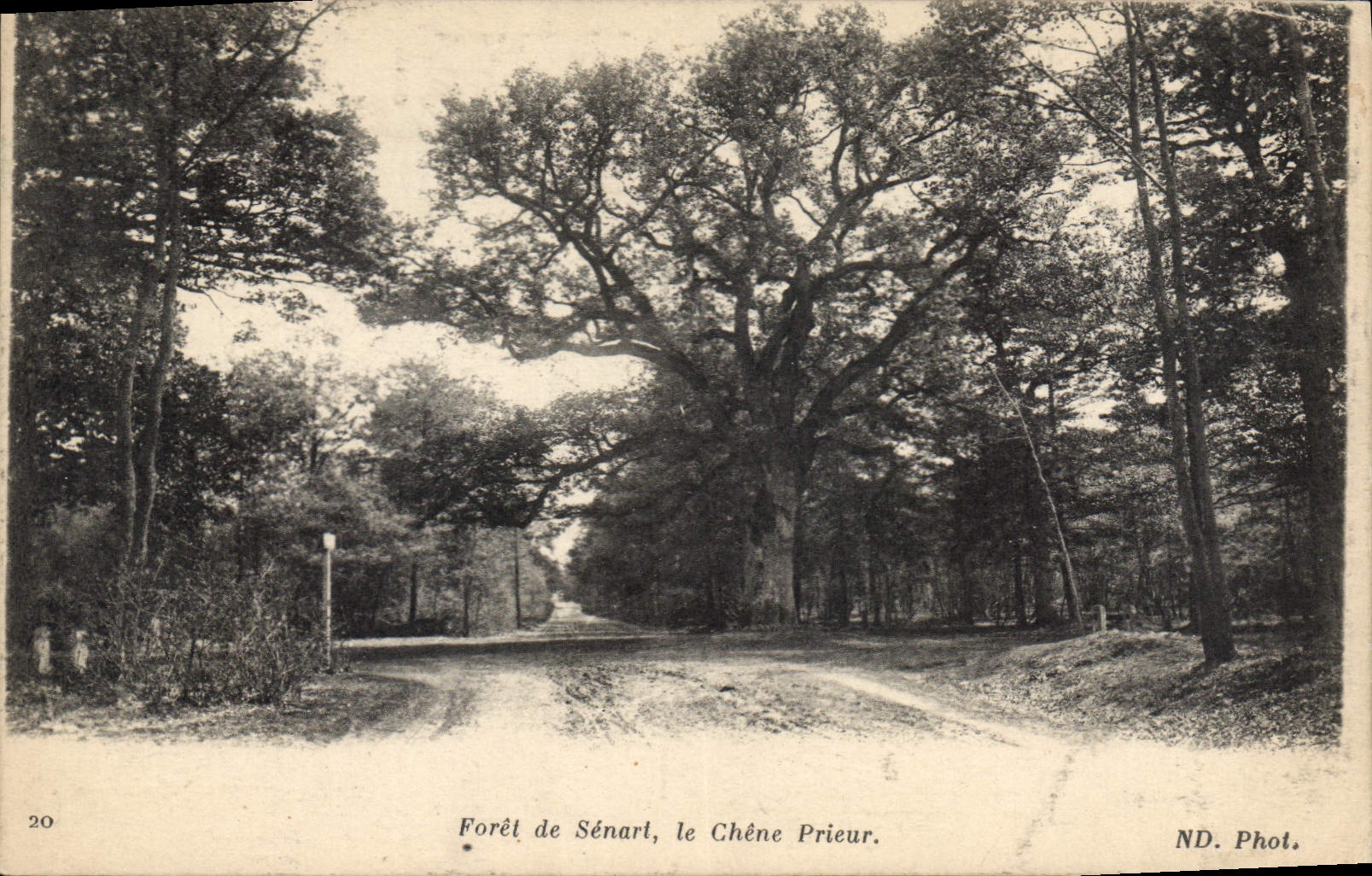 CPA Foret de Senart le Chene Prieur 
