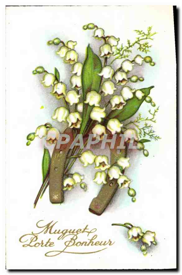 CPA Muguet Porte Bonheur Fleurs