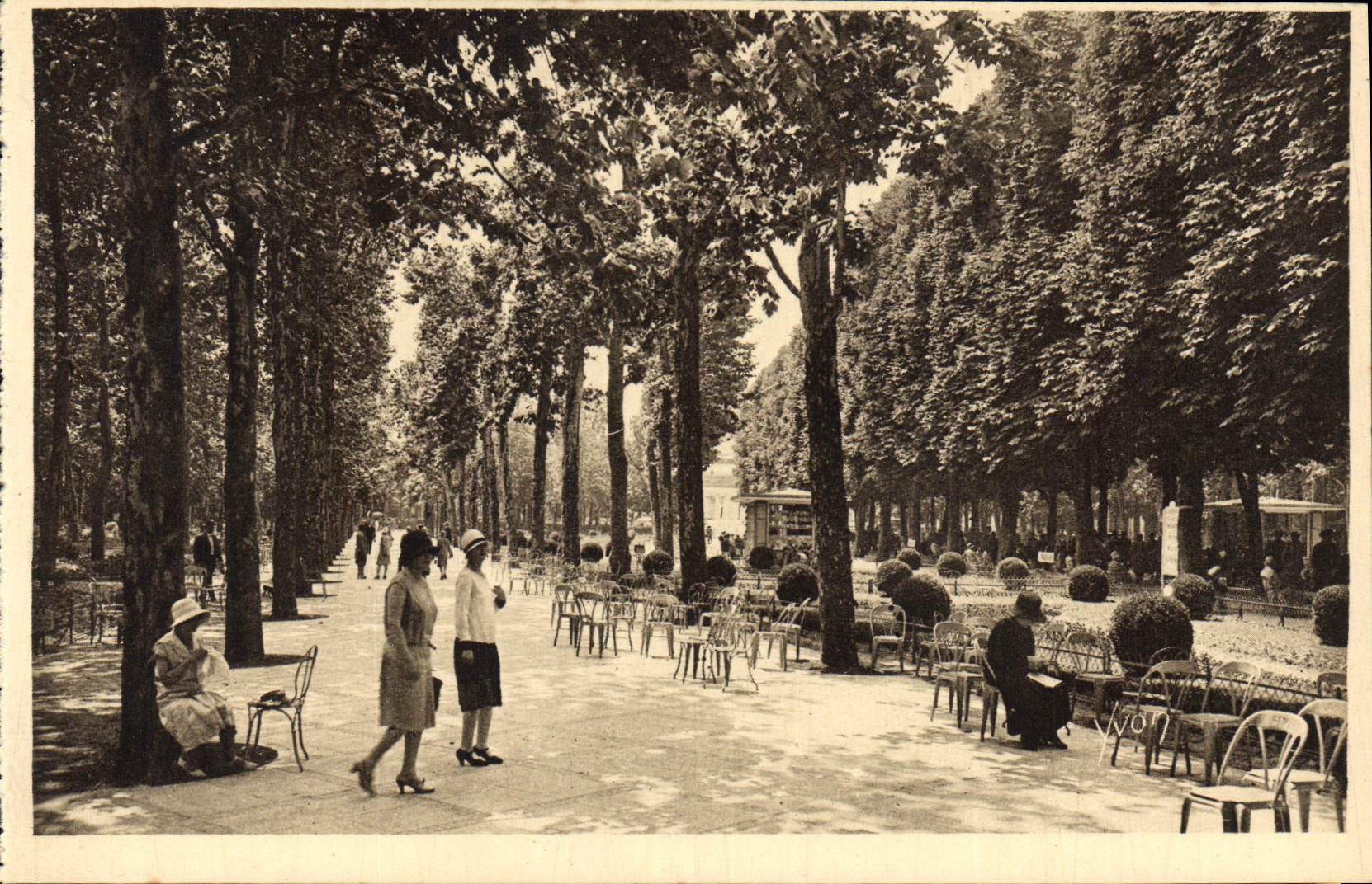 CPA Vichy Allier Une Allee du Parc des Sources 