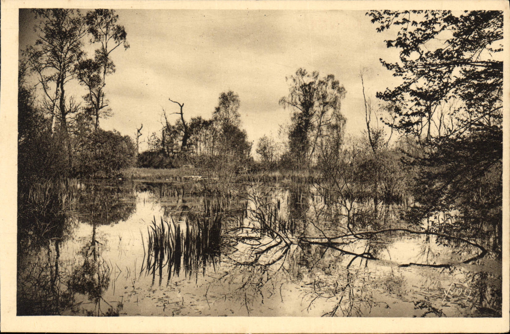La Foresta - Mare aux Fées — Fontainebleau (S.-et-M.) — Les Éditions d'Art XVOC, Parigi