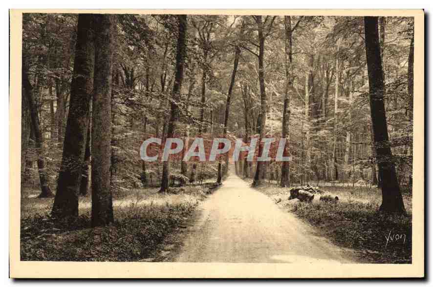 Foresta di Fontainebleau — Route Ronde — Edizioni d'Arte YVON
