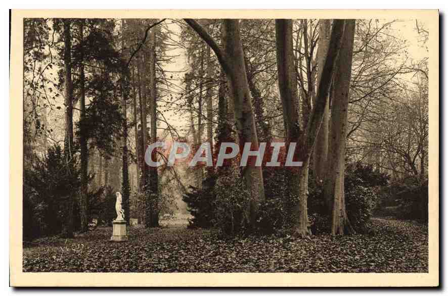 Fontainebleau (S.-et-M.) — Gärten des Schlosses, Allee der Platanen — Les Éditions d'Art YVC, Paris