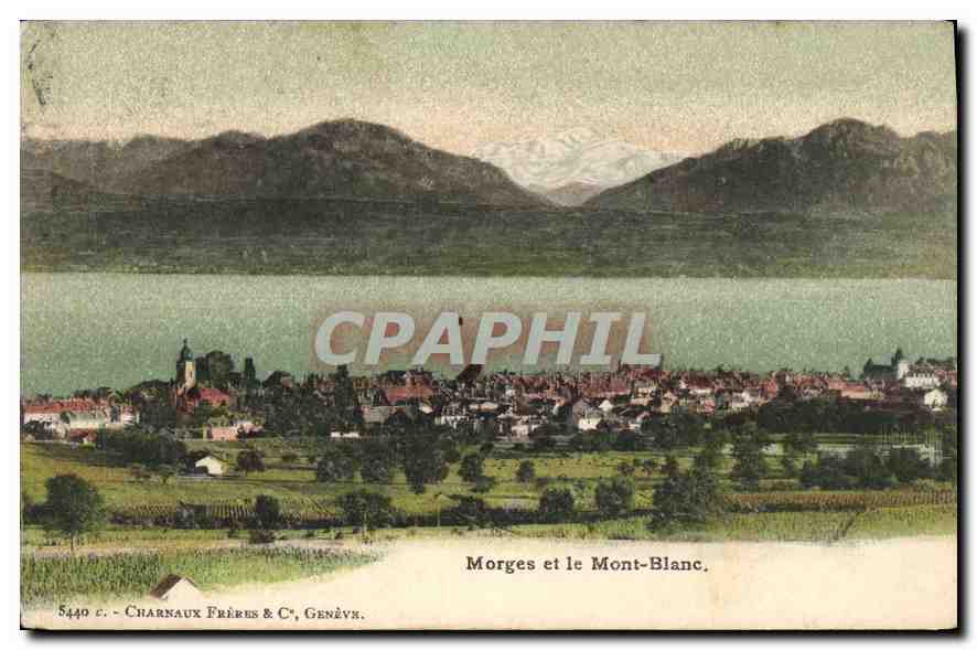 CPA Morges et le Mont Blanc 