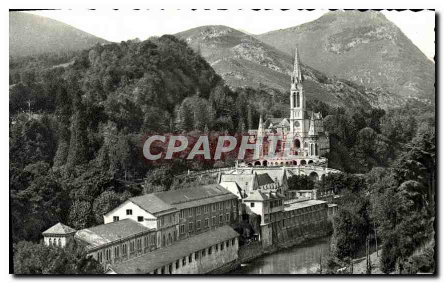 CPA Lourdes La Basilique et le Gave 