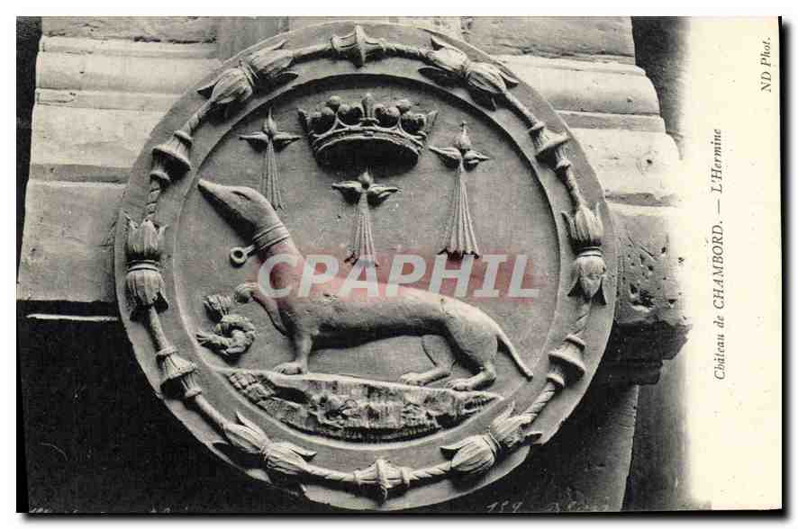 CPA Chateau de Chambord L'Hermine 