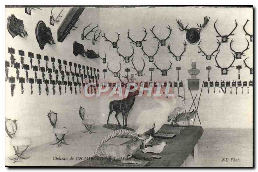 CPA Chateau de Chambord Chasse Cygne Cerf