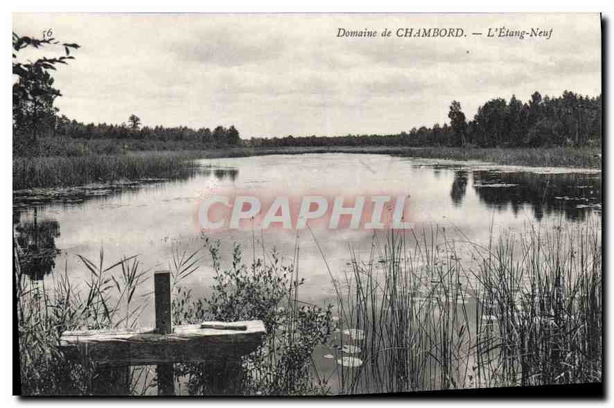 CPA Domaine de Chambord L'Etang Neuf 