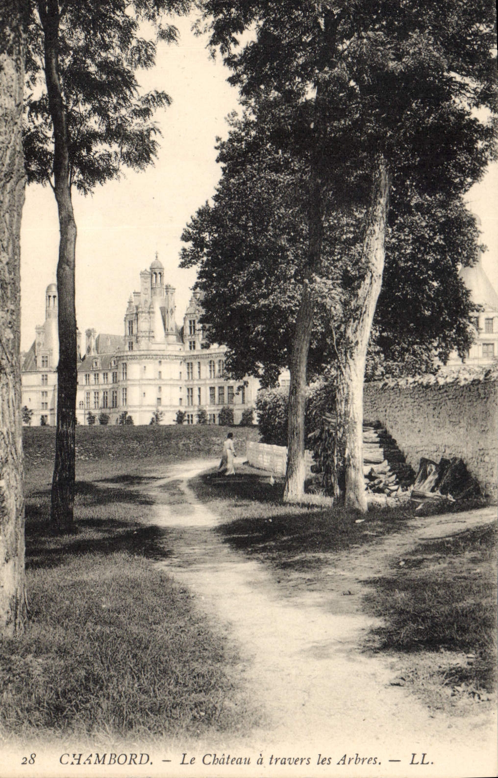 CPA Chambord Le Chateau a travers les Arbres 