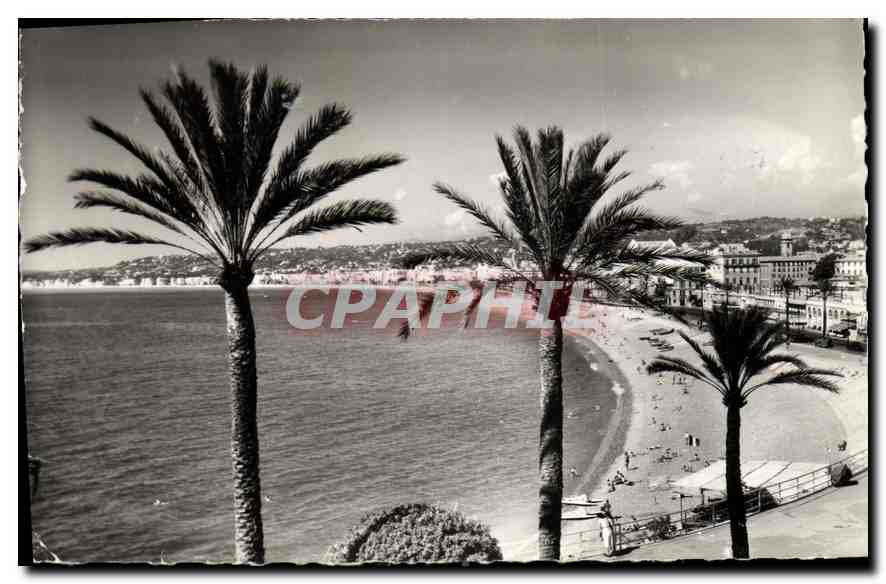 CPA Nice La Plage et la Promenade des Anglais vues de la Colline du Chateau 