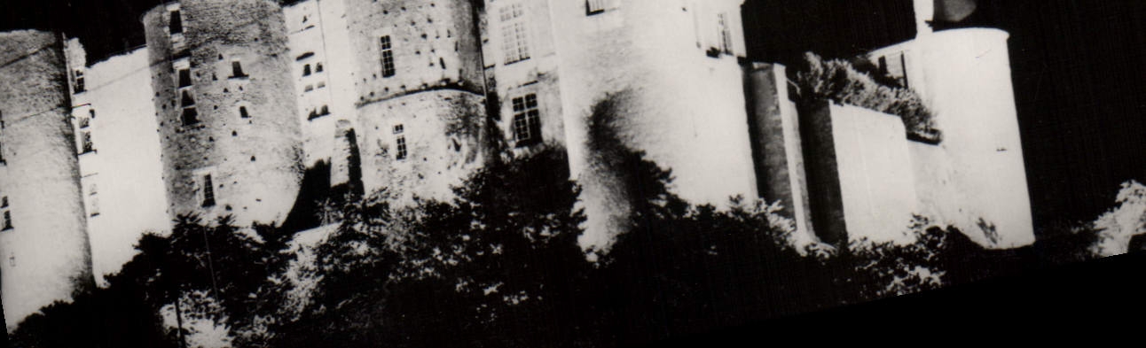 CPA La Touraine Illuminee Chateau de Luynes 
