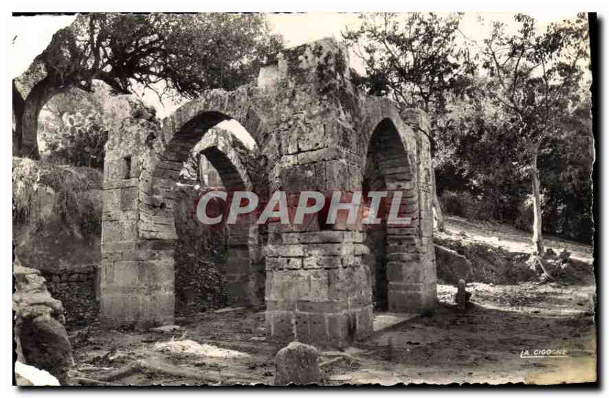 CPA Rabat Chelle Ruines du Marabout du Sidi Yaya ben Younes 