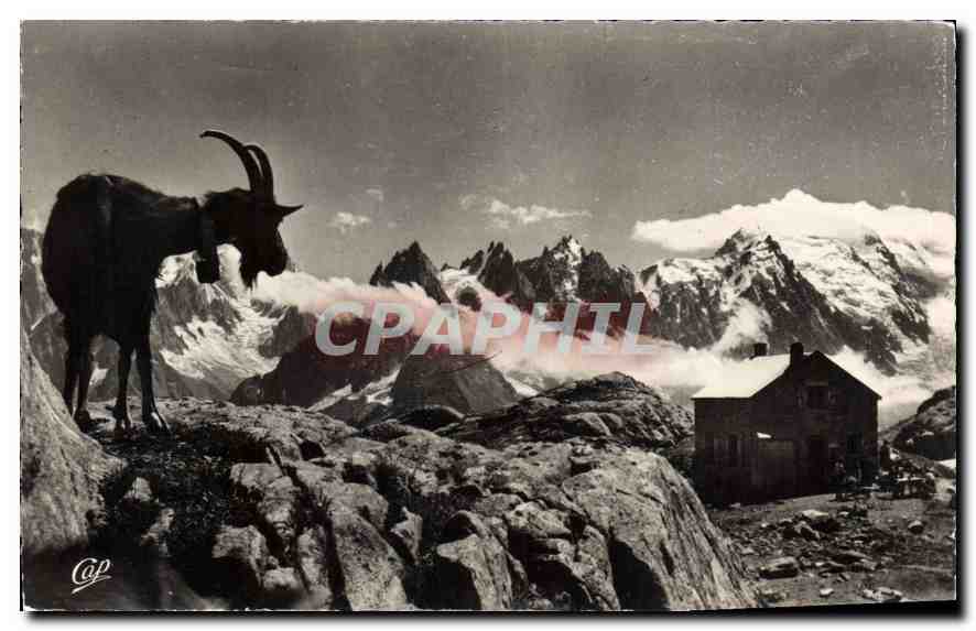 CPA Environs de Chamonix Le Refuge du Lac Blanc Vue sur les Aiguilles de Chamonix 