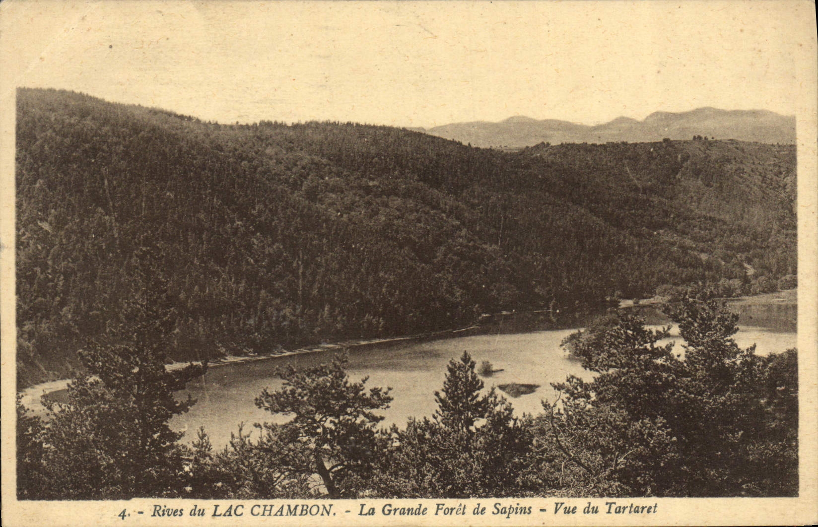CPA Rives du Lac Chambon La Grande Foret de Sapins Vue du Tartaret 