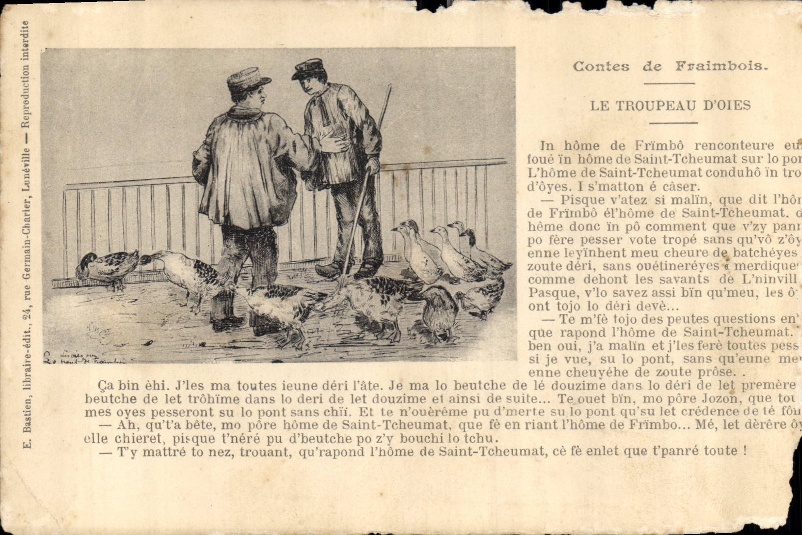 CPA Contes de Fraimbois Le Troupeau D'Oies 