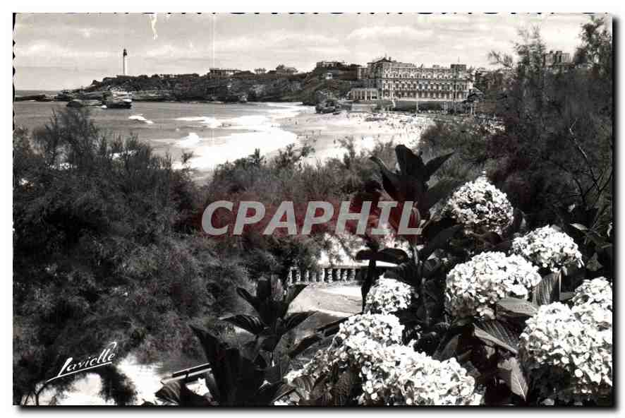 CPA Biarritz Les Hortensias et vue sur le Phare 