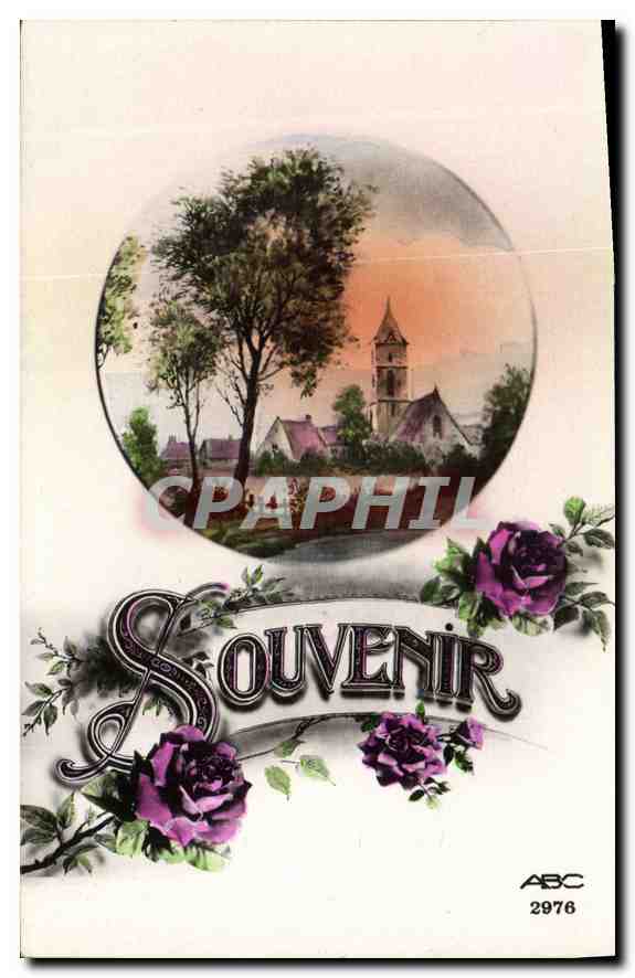 CPA Souvenir Fleurs