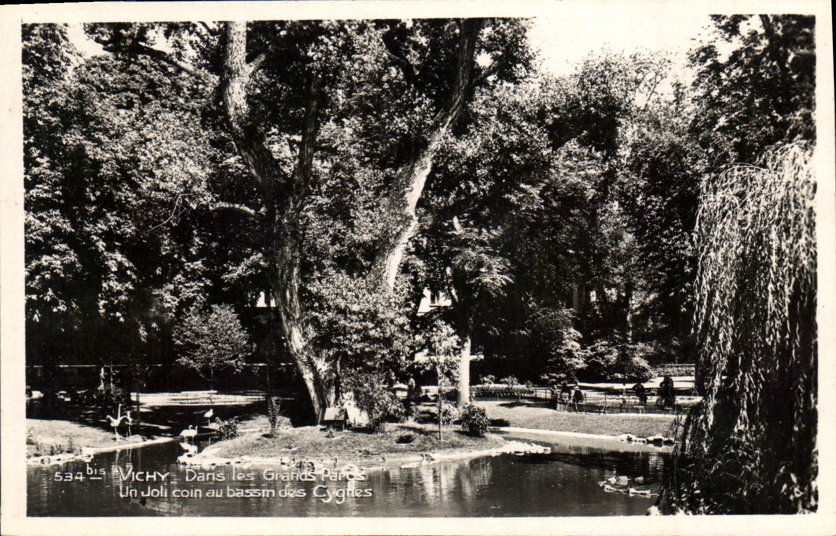 Michy — Dans les Grands Parcs — Un joli coin au bassin des Cygnes — n° 534 bis