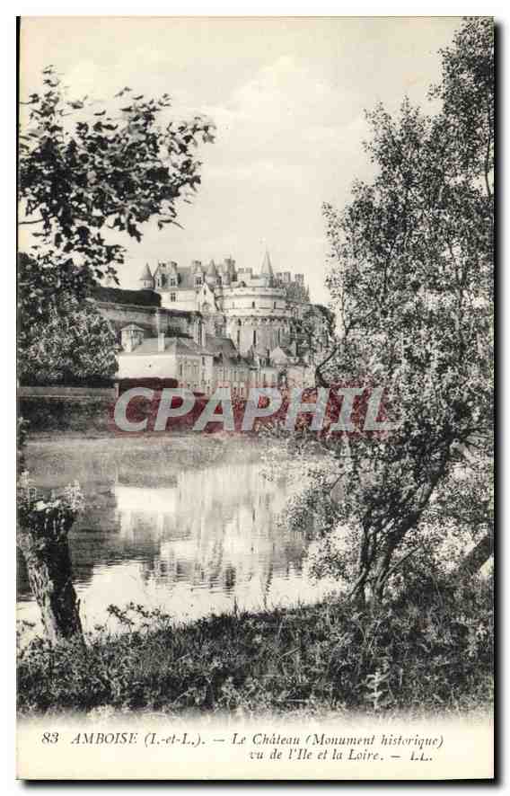 CPA Amboise Le Chateau Monument historique vu de l'lle et la Loire 