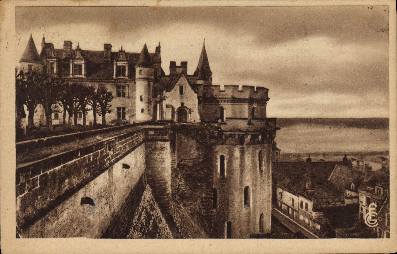 CPA Amboise Le Chateau cote Est et la Loire 