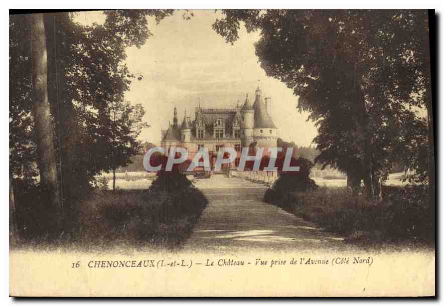 CPA Chenonceaux Le Chateau Vue prise de l'Avenue Cote Nord 