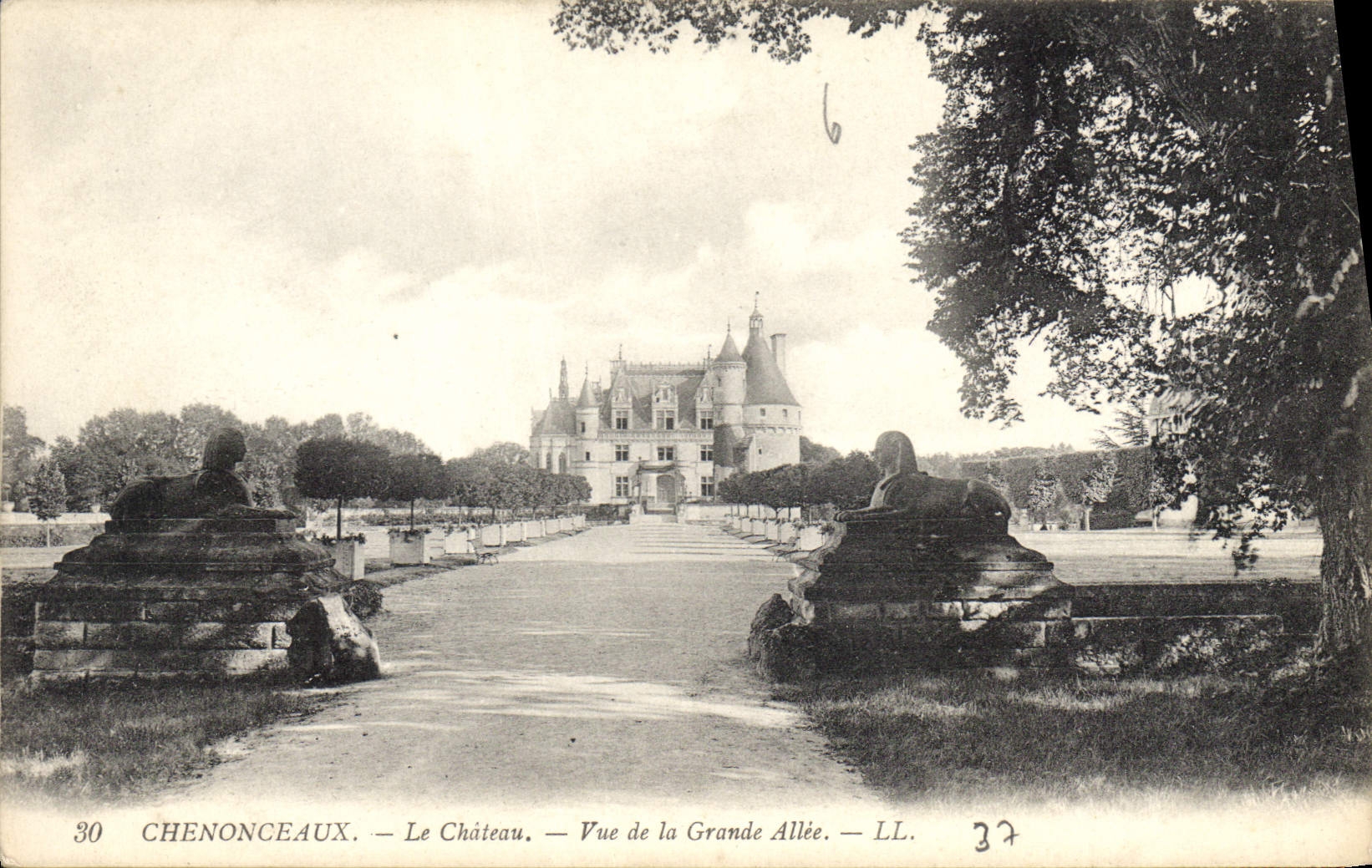 CPA Chenonceaux Le Chateau Vue de la Grande Allee 