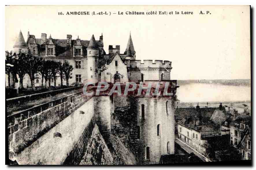 CPA Amboise Le Chateau cote Est et la Loire 
