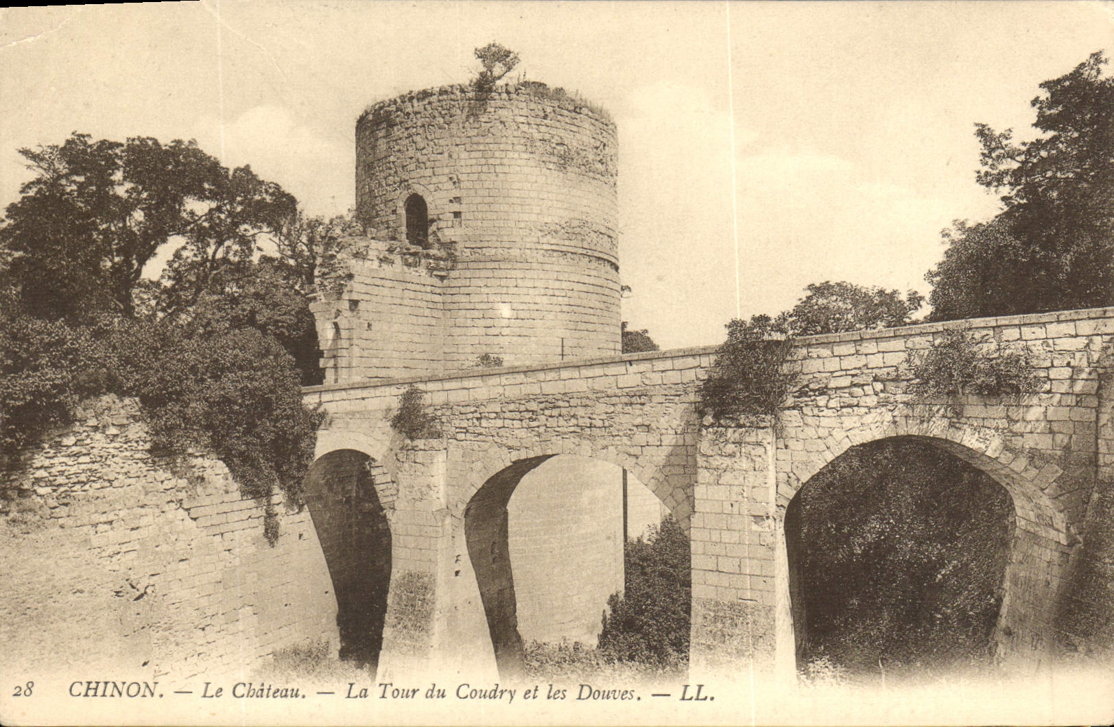 CPA Chinon le Chateau la Tour du Coudry et les Douves 