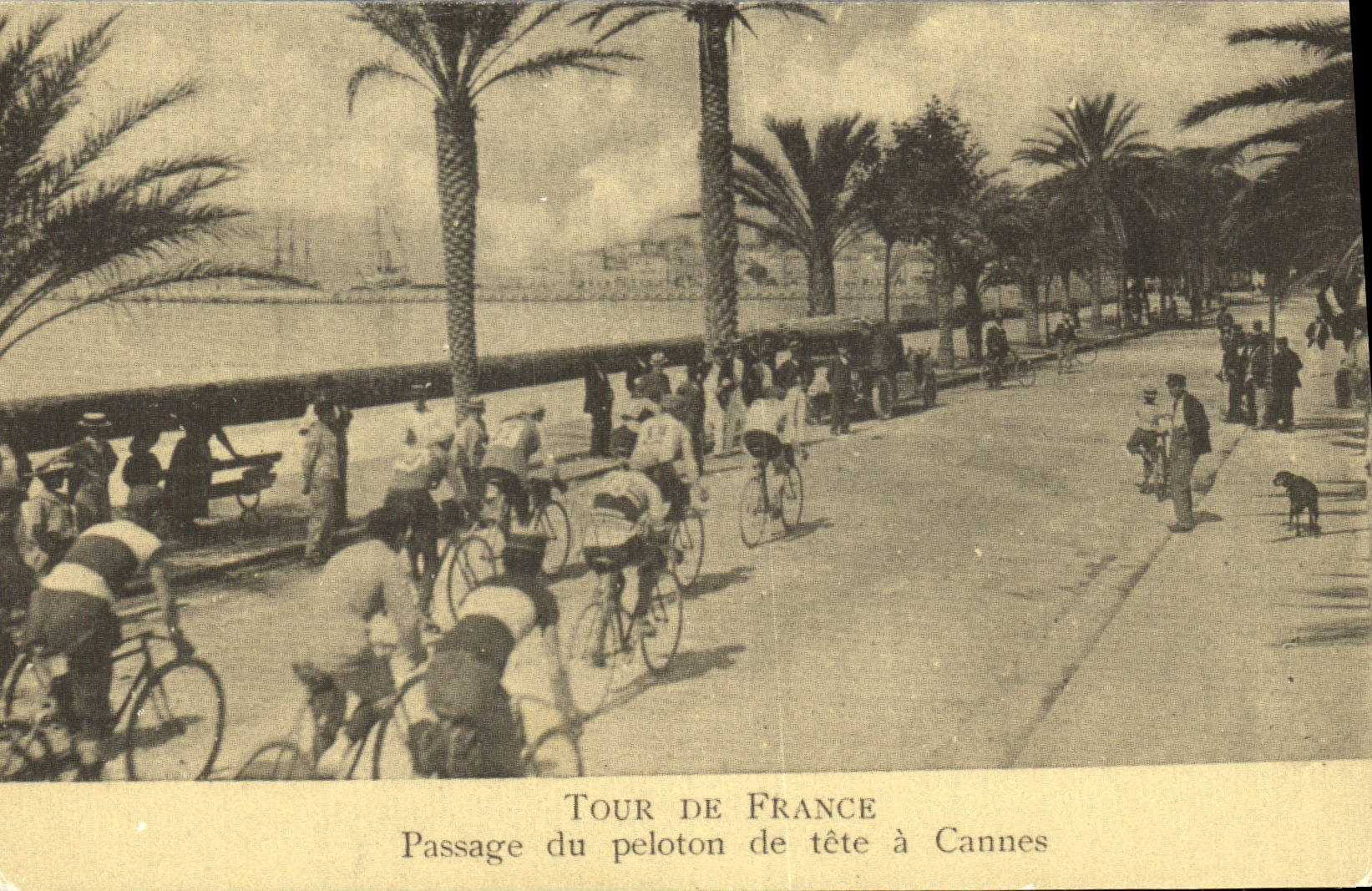 REPRO Tour de France Passage du Peloton de Tete a Cannes Velo Cycle