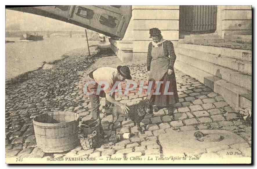 REPRO Scenes Parisienne Tondeur de Chiens la Tollette apres la Toure 