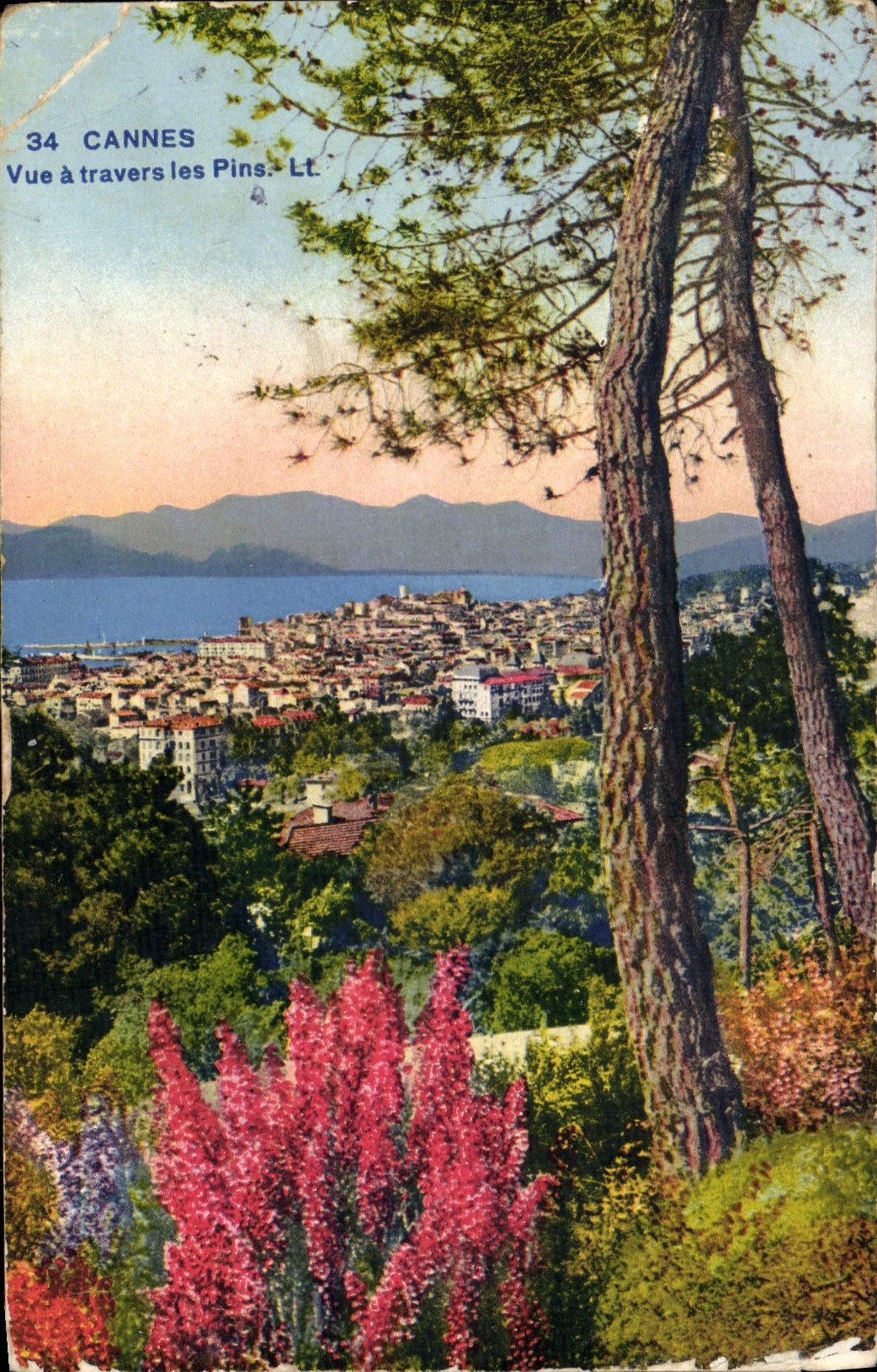 CPA Cannes Vue a travers les Pins 