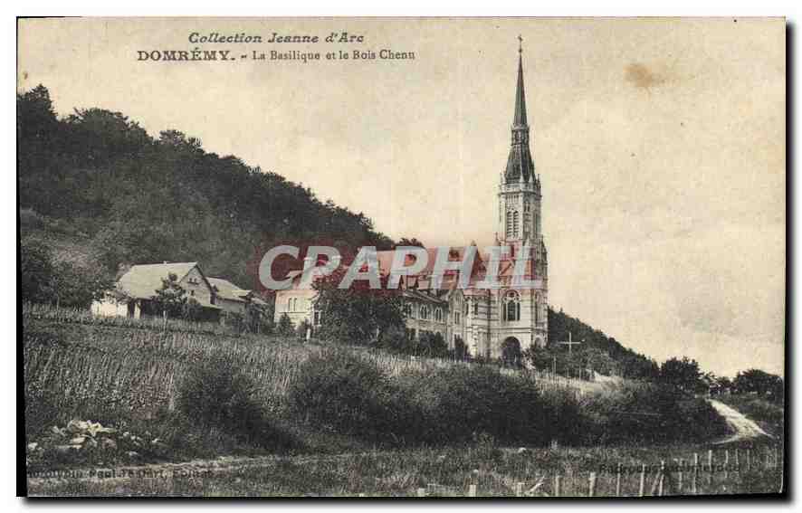 CPA Collection Jeanne D'Arc Domremy La Basilique et le Bois Chenu 