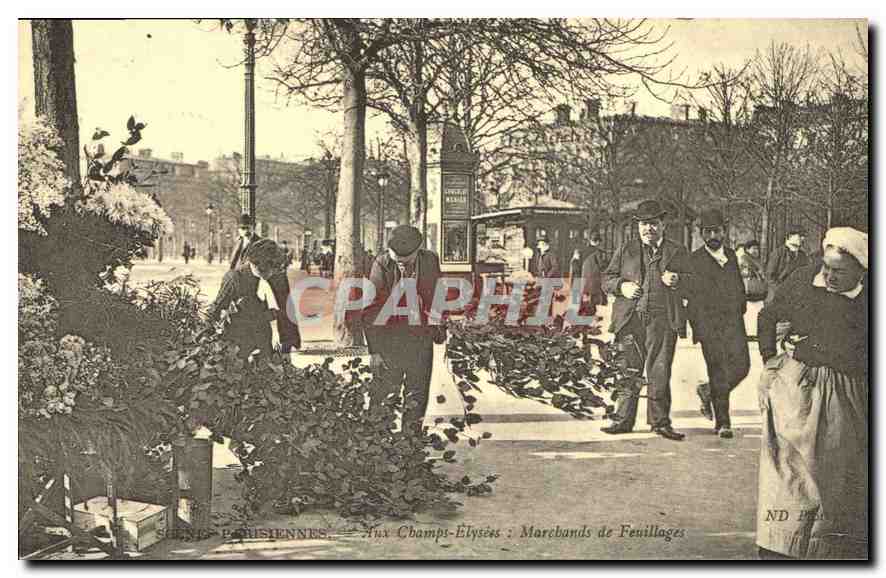 REPRO Scenes parisiennes Aux Champs Elysees Marchands de Feuillages 