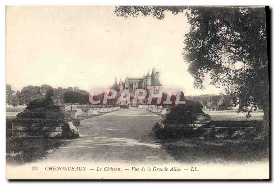 CPA Chenonceaux Le Chateau Vue de la Graude Allee 