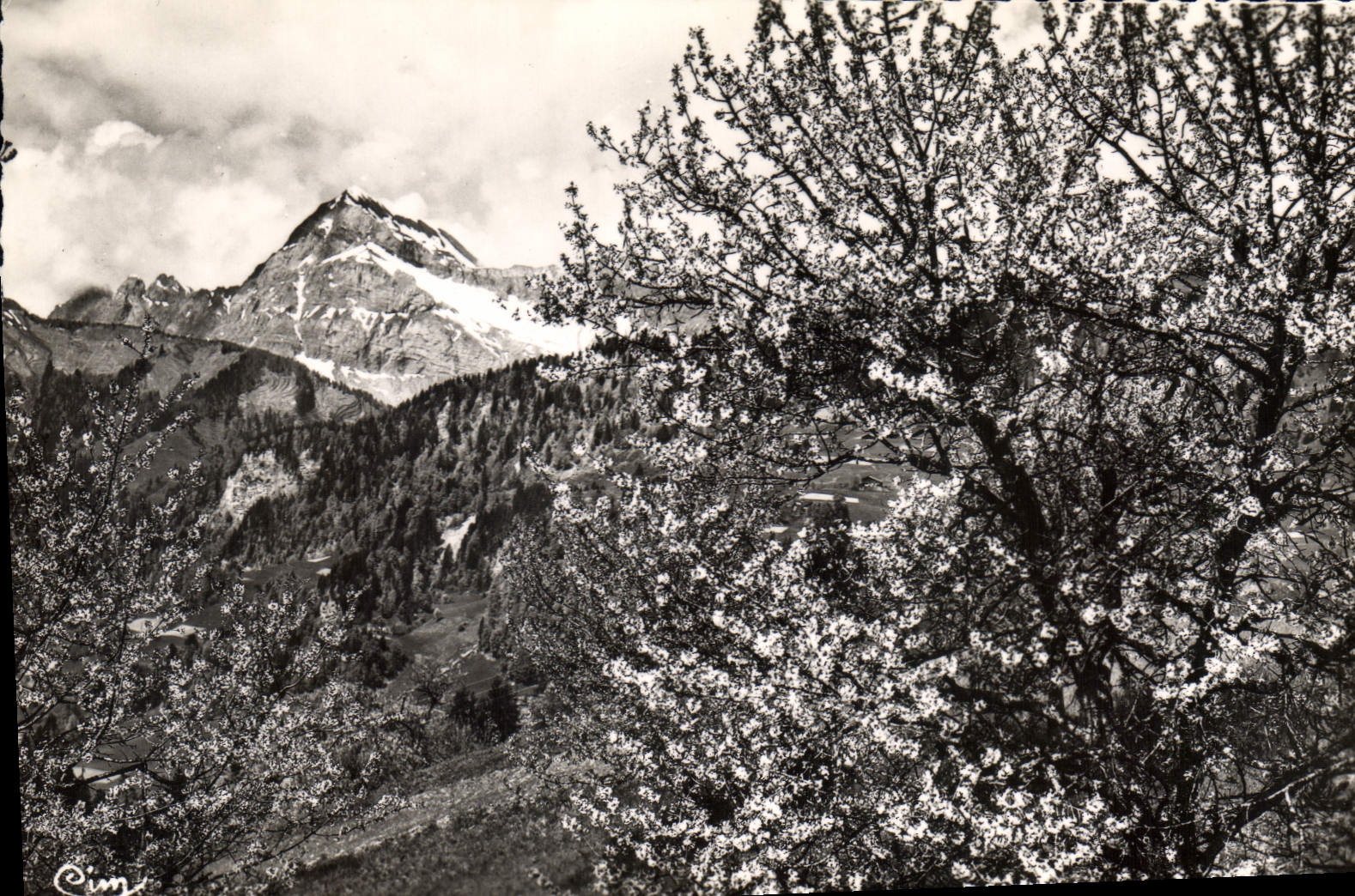 CPA N D de Bellecombe Savoie Le Mont Charvin 