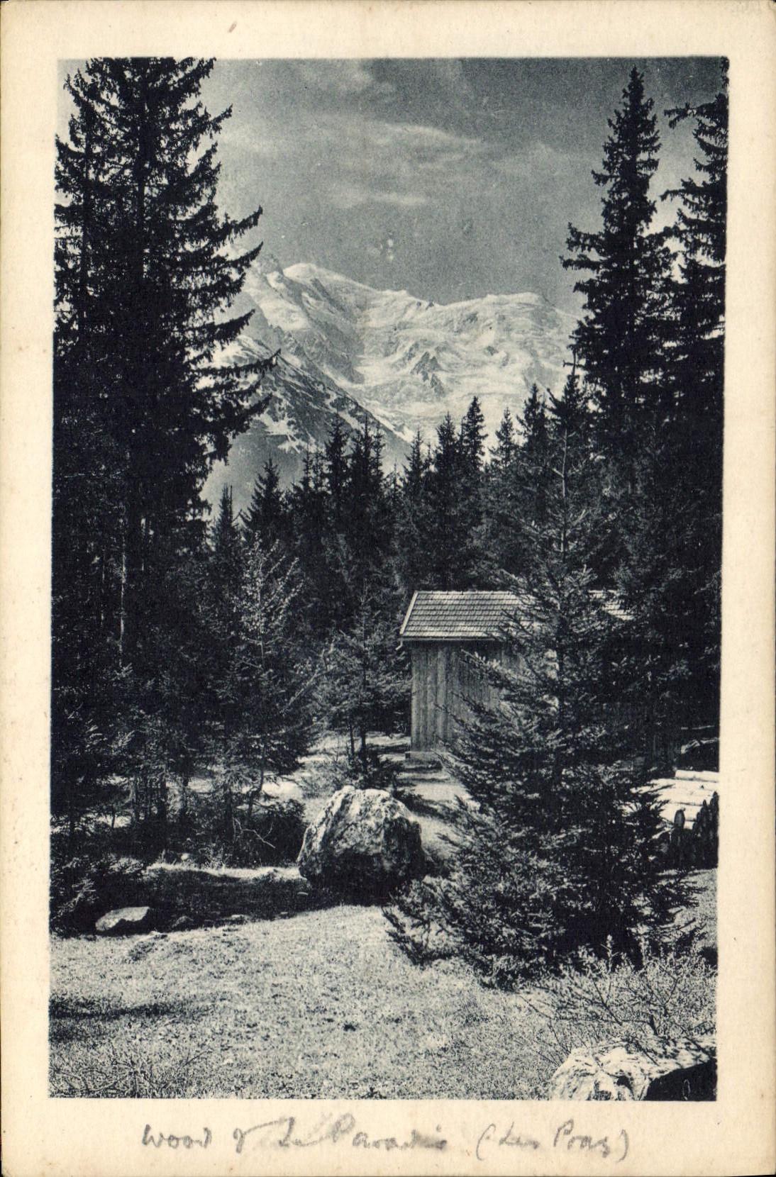 Le Bois du Paradis (Les Pras) — vue du Mont-Blanc — C. Tarras, phot.-édit., Chamonix-Mont-Blanc