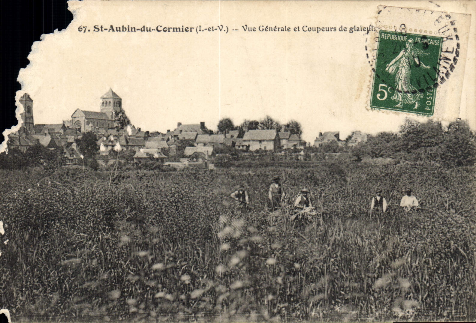 St-Aubin-du-Cormier (Loir-et-Cher) — Allgemeiner Blick und Gladiolenpflücker — unbekannter Verlag, Nr. 67