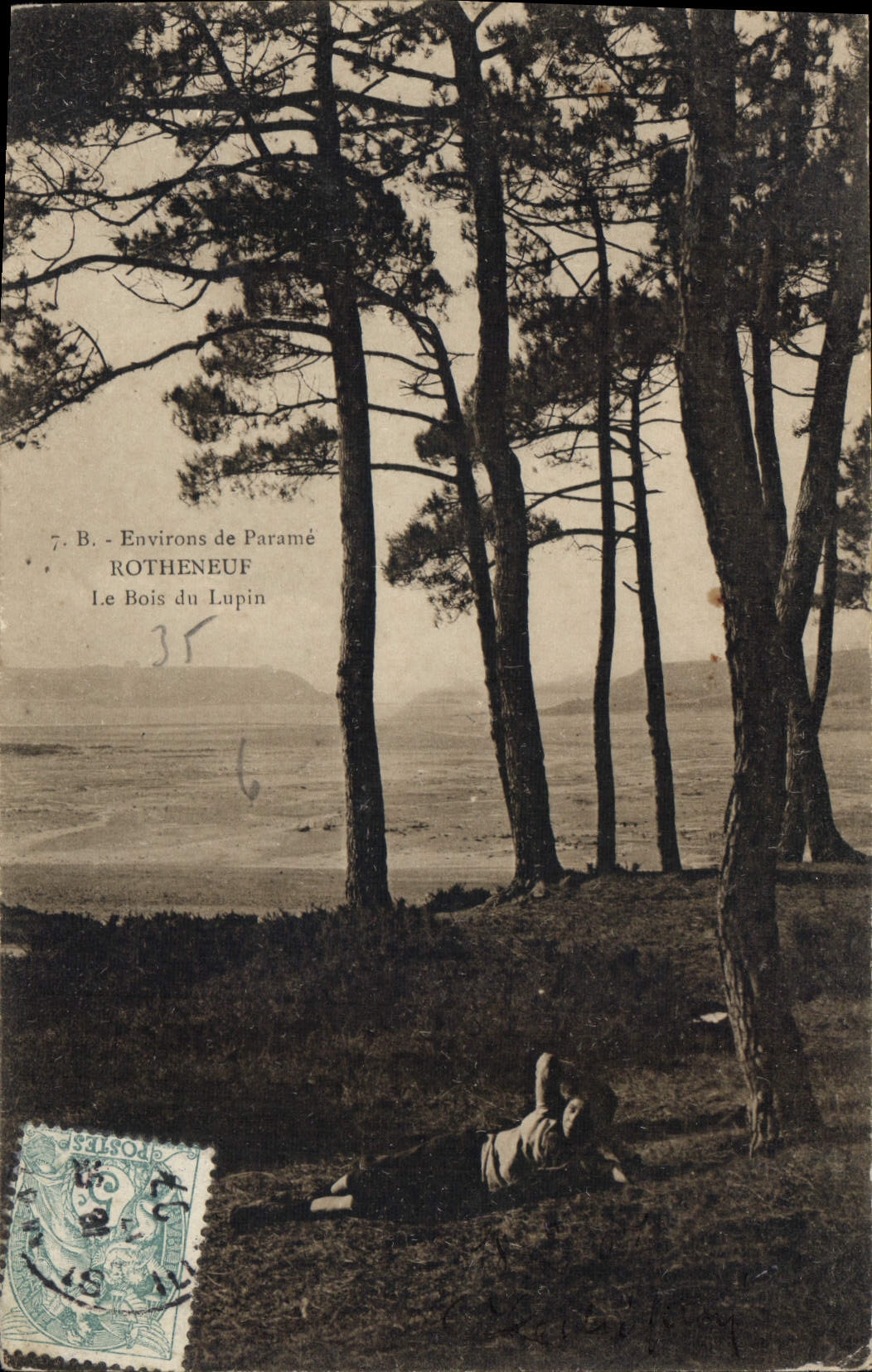 Le Bois du Lupin — Environs de ROTHENEUF — Éditeur Le Maître, n°7.B