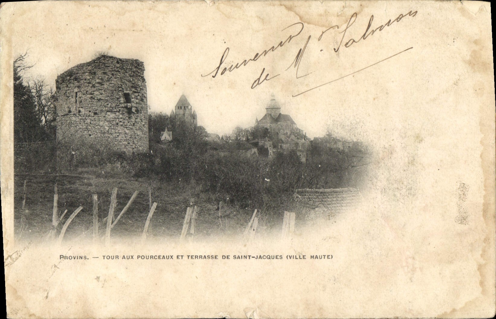 CPA Provins Tour aux Porceaux et Terrasse de Saint Jacques 