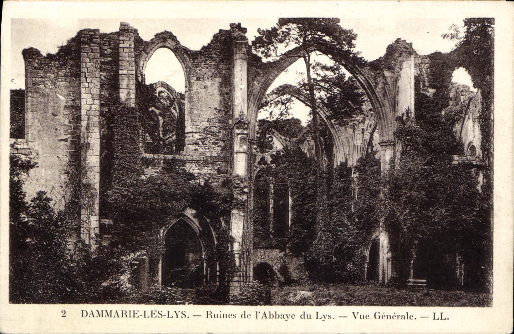 CPA Dammarie Les Lys Ruines de l'Abbaye du Lys Vue Generale 