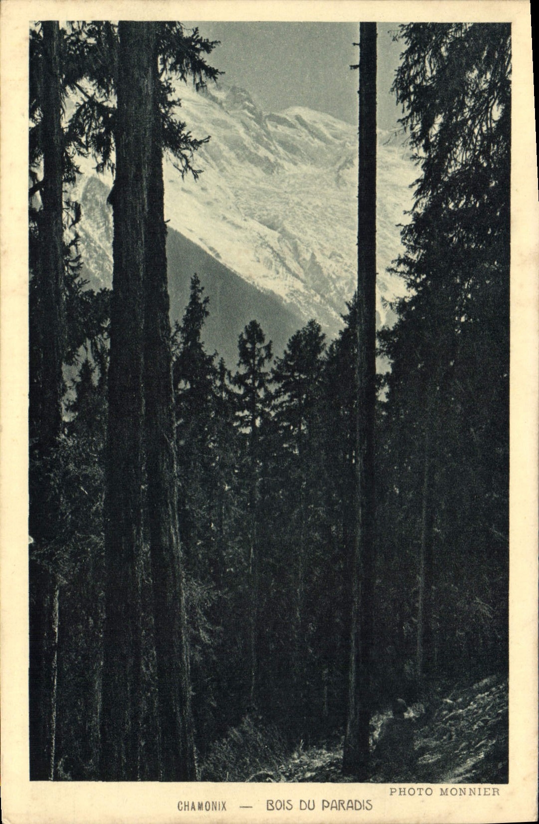 CPA Chamonix Bois du Paradis 