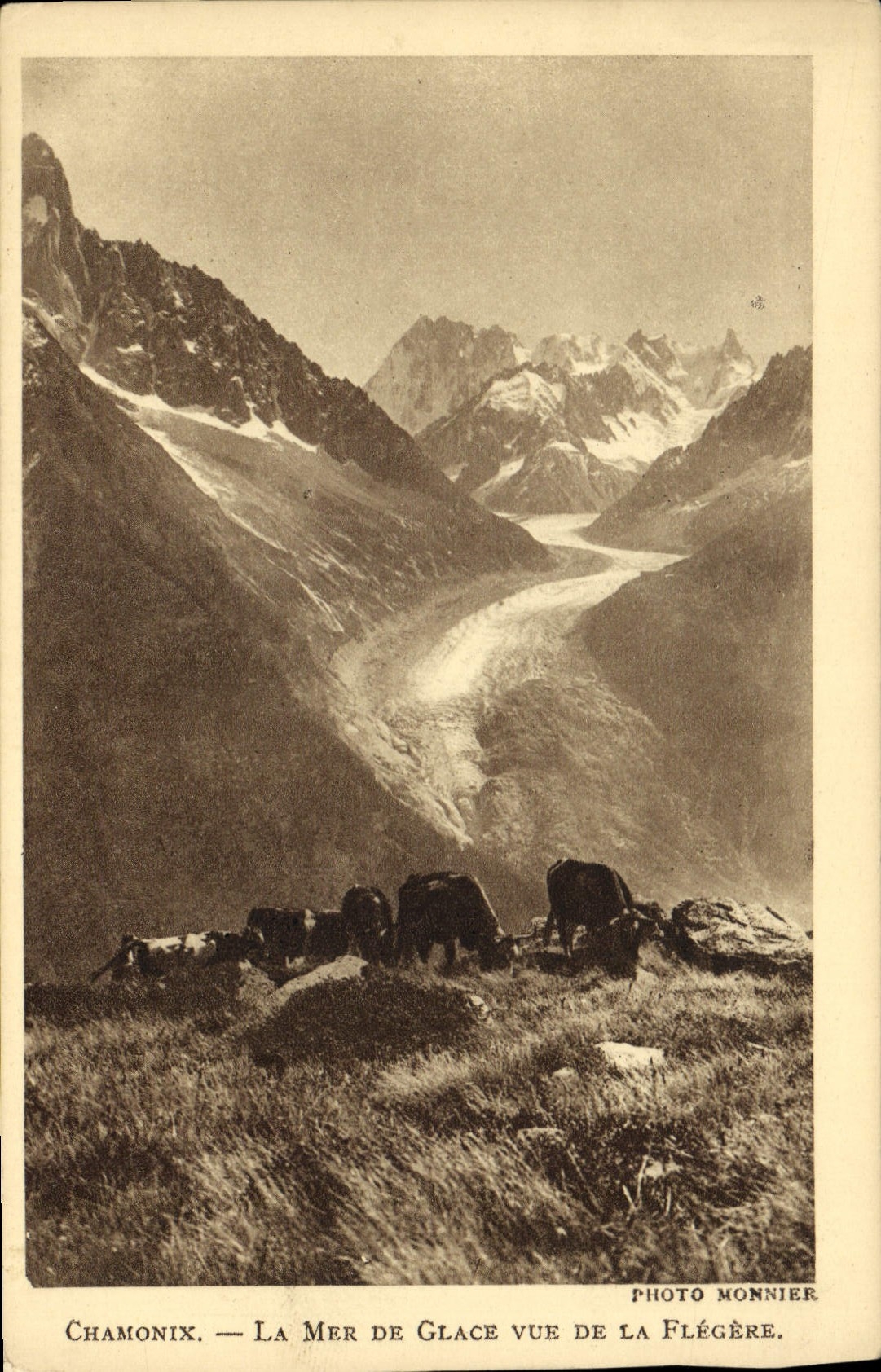 CPA Chamonix La Mer de Glace vue de la Flegere Vaches