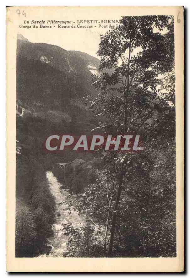 CPA La Savoie Pittoresque le petit Bornand Gorge du Borne Route de Cigogne 