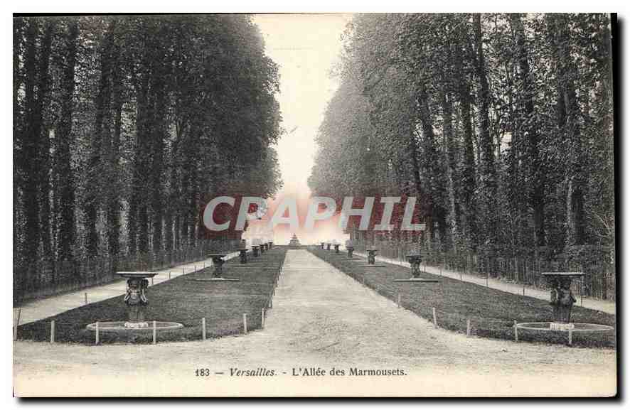 CPA Versailles L'Allee des Marmousets 
